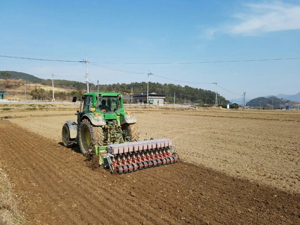 ▲맥류 파종(사진제공=무안군)