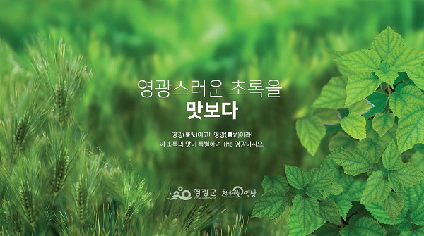▲영광군은 지난 4일 ‘영광 보리․모싯잎 산업특구’가 우수특구로 선정되는 쾌거를 이뤘다.(사진제공=영광군)