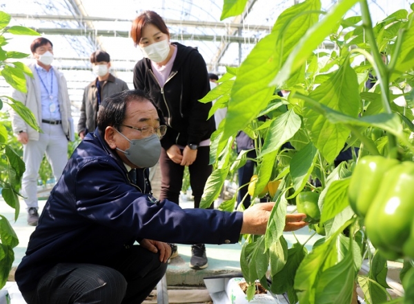 ▲김준성 영광군수는 파프리카 농장을 방문하여 애로사항을 청취하는 시간을 가졌다.(사진제공=영광군)