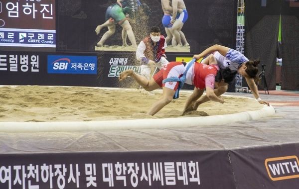 ▲구례군에서 오는 12월 2일부터 4일간 ‘제13회 구례전국여자천하장사 및 대학장사 씨름대회’를 무관중으로 개최한다.(사진제공=구례군)