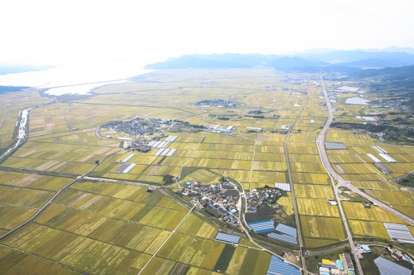 ▲보성군 득량면 예당 간척지 전경(사진제공=보성군)