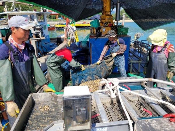 ▲고흥군은 어업활동이 곤란한 어업인을 대상으로 어업도우미 사업을 추진 중에 있다.(사진제공=고흥군)