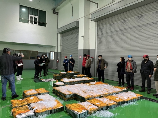 ▲영광군은 8일 영광군수협 위판장에 1년간 키운 양식 참조기 410상자(6만 미)를 출하했다.(사진제공=영광군)