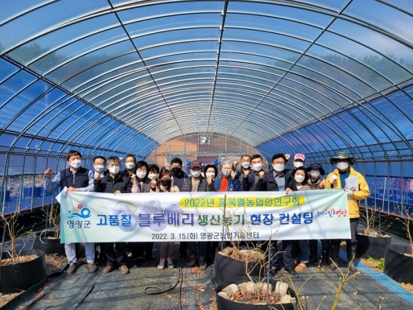 ▲영광군은 고품질 블루베리 생산을 위해 품목별농업인연구회를 대상으로 현장교육을 실시했다.(사진제공=고흥군)