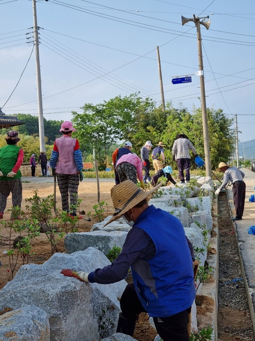 ▲지난해 청정전남 으뜸마을에 선정된 성암마을 주민들이 마을 정화활동을 하는 모습(사진제공=함평군)