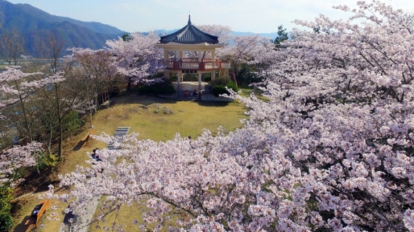 ▲예양공원(사진제공=장흥군)