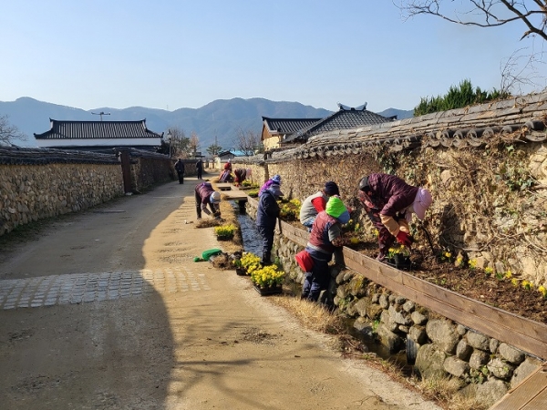▲담양군 창평면은 삼지내 마을 내 돌담길, 슬로시티 주차장 일대의 부지에서 주민들과 함께 슬로시티 꽃길을 조성했다.(사진제공=담양군)