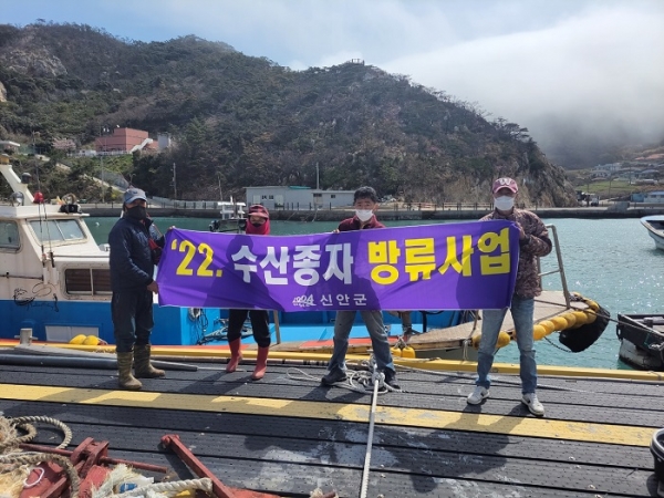 ▲신안군은 청정해양 수산자원 회복과 어업인 소득증대를 위해 해산, 전복, 감성돔를 방류한다.(사진제공=신안군)