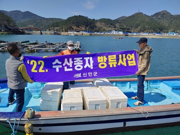 ▲신안군은 지난 19일 흑산면 진리2구 외 6개 지선에 전복 21만 마리를 방류했다.(사진제공=신안군)
