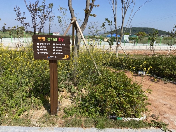 ▲맨발 산책로(사진제공=무안군)