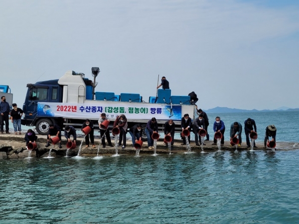 ▲무안군은 지난 11일 수산자원 조성사업의 일환으로 고부가가치 어종인 감성돔 종자 243천 미와 점농어 종자 136천 미를 방류했다.(사진제공=무안군)