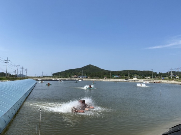 ▲신안군이 해양수산부에서 시행하는 2022년 친환경양식어업 육성 공모사업에 선정되어 친환경 유용미생물 생산시설 10억원을 확보했다.(사진제공=신안군)