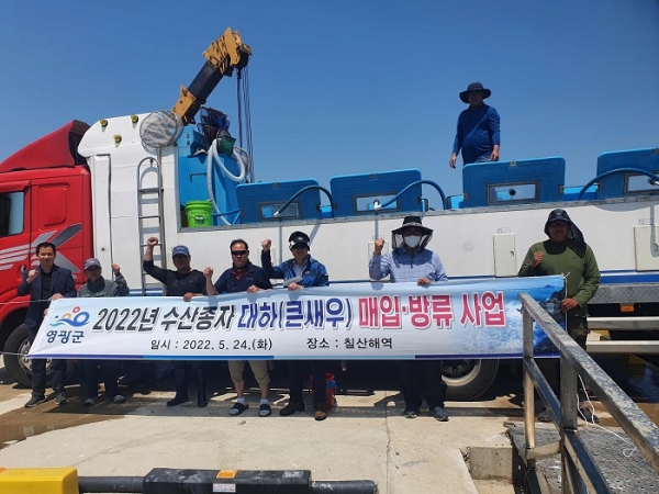 ▲영광군은 지난 24일 어린 대하 670만 마리를 영광군 칠산해역에 방류했다.(사진제공=영광군)