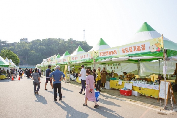 ▲장성 황룡강 노란꽃장터가 축제기간 약 6000만 원의 수익을 기록했다.(사진제공=장성군)