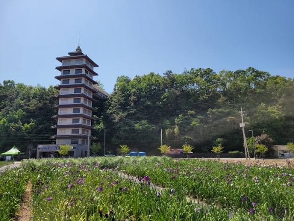 ▲법성포 단오제 행사장 경관 조성(사진제공=영광군)