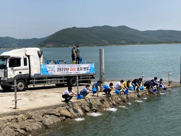 광양시는 어린 대하 250만 마리를 태인동 명당마을 해수면에 방류했다.(사진제공=광양시)