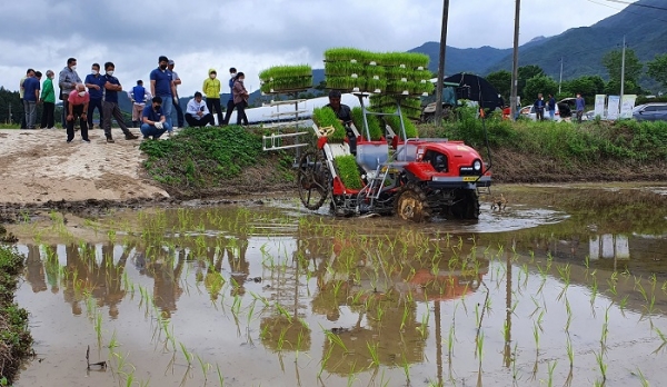 곡성군이 지난 14일 안정적인 친환경쌀 생산을 위한 포트묘 이앙 연시회를 개최했다.(사진제공=곡성군)