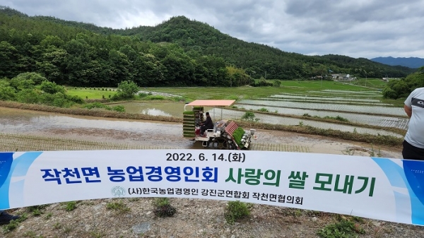 ▲작천 농업경영인회가 지난 14일 작천면 학동마을 공동경작지에서 사랑의 쌀 모내기를 실시했다.(사진제공=강진군)