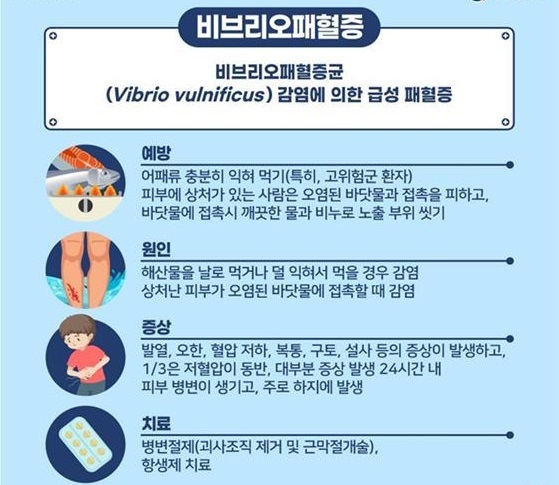 ▲목포시가 비브리오패혈증, 레지오넬라증 등 여름철 감염병에 대한 예방수칙 준수를 당부했다.(사진제공=목포시)
