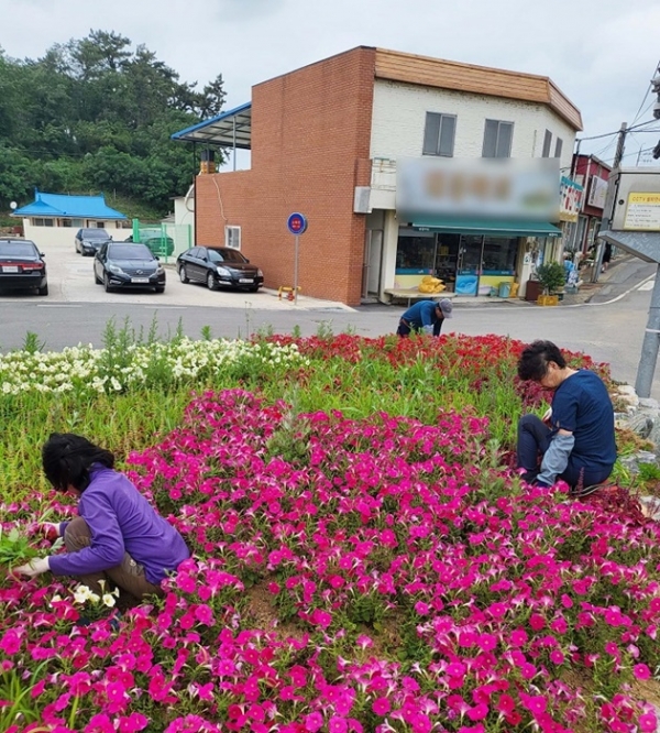 ▲무안군은 2022년 하반기 재정지원 일자리사업을 본격적으로 개시한다.(사진제공=무안군)