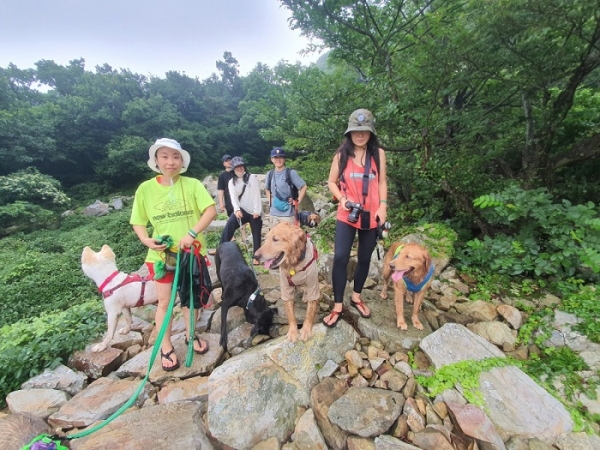 ▲땅끝황토나라테마촌 반려견 달마고도 트레킹(사진제공=해남군)