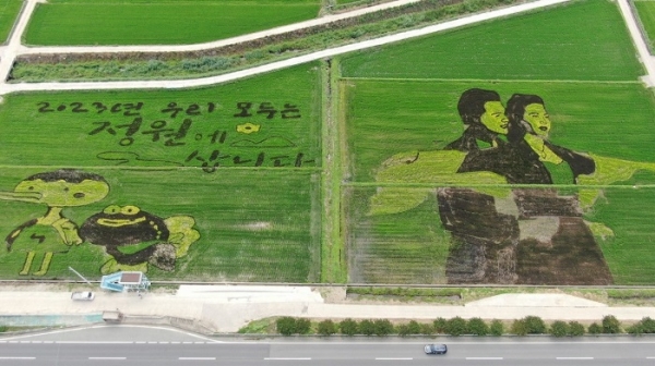 ▲별량면 논아트(사진제공=순천시)