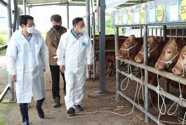 ▲지난 29일 강진원 강진군수가 추석맞이 대목장을 방문하여 한우농가 격려와 의견을 청취하고 있다.(사진제공=강진군)