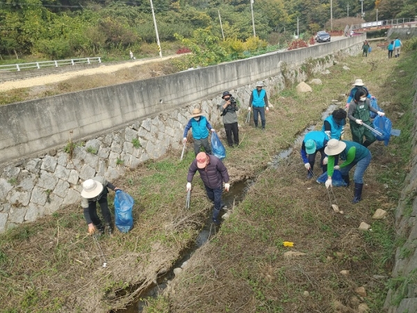 ▲광주 동구는 지난 26일 내지천 중류에서 수생태계 복원을 위한 ‘내지천 도랑살리기’ 민·관 합동 환경정화 활동을 실시했다.(사진제공=동구)