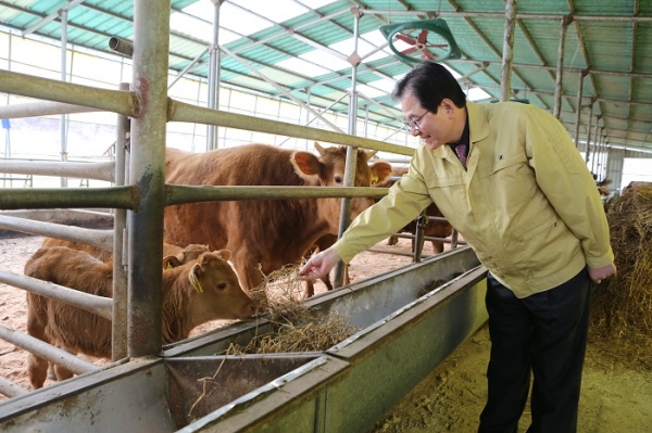 ▲한우 농가를 방문한 신우철 완도군수(사진제공=완도군)