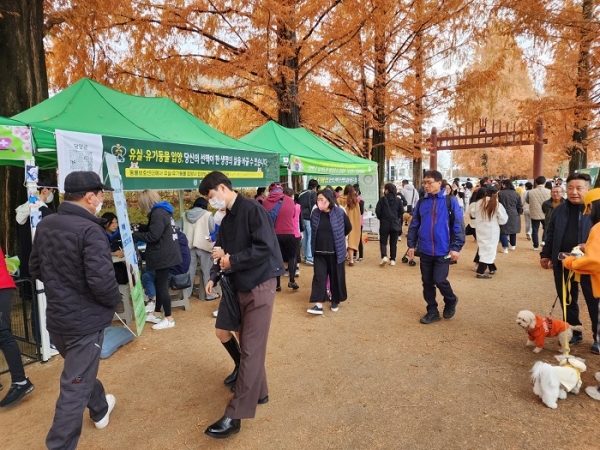 ▲담양군은 반려견 유실·유기의 방지와 입양 활성화를 위한 캠페인을 추진했다.(사진제공=담양군)