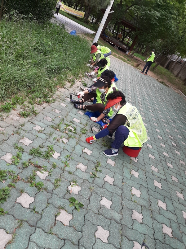 ▲목포시가 ‘2023년 노인일자리 및 사회활동 지원사업’ 참여자를 모집한다.(사진제공=목포시)