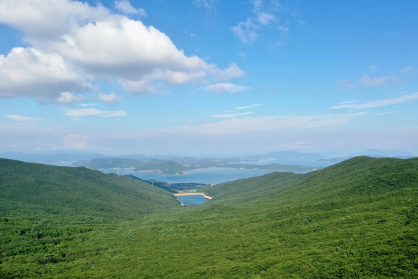 ▲완도수목원 전경(사진제공=완도군)