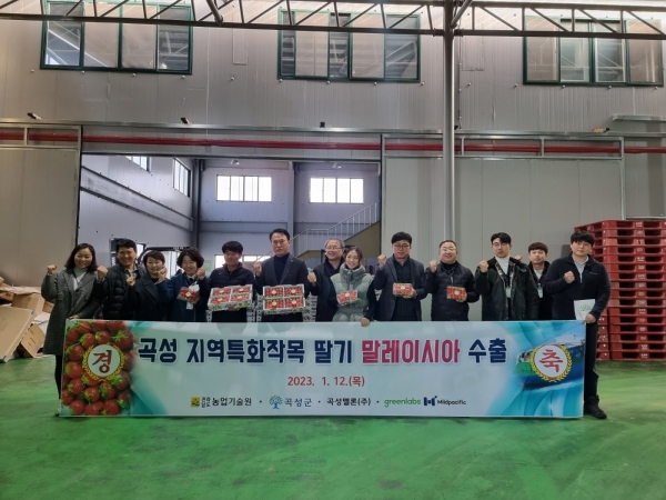 ▲곡성군이 12일 농업회사법인 곡성멜론(주) 공동 선별장에서 ‘맘愛담은 딸기’수출 선적식을 가졌다.(사진제공=곡성군)