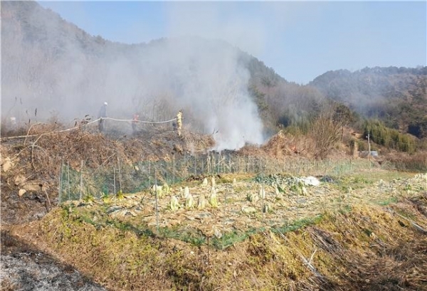 ▲불법소각(사진제공=영광군)