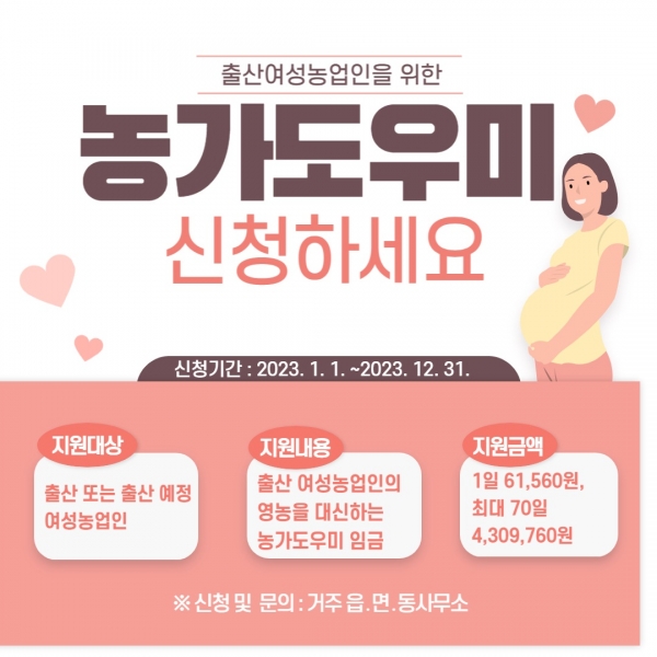 ▲여성농업인 출산 농가도우미 지원사업 홍보 포스터(사진제공=전라남도)
