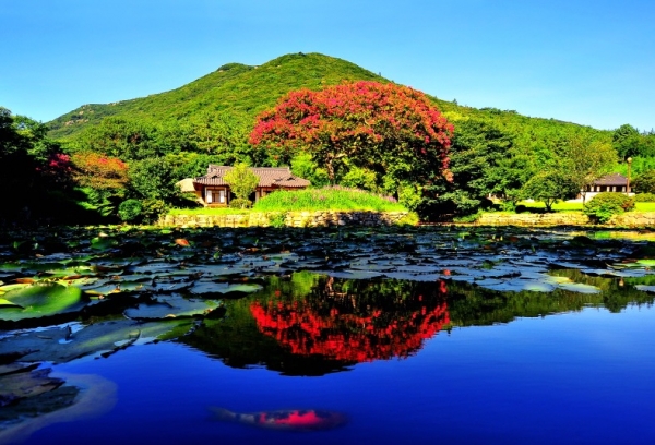 ▲진도 운림산방(사진제공=진도군)
