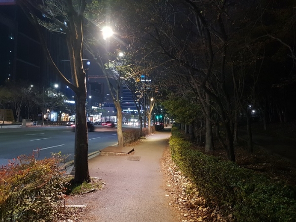 ▲서구는 2023년 걷기 좋은 길 보행등 설치사업을 완료했다.(사진제공=서구)