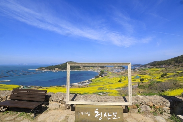 ▲4월 3일 촬영한 청산도 유채꽃밭 전경(사진제공=완도군)