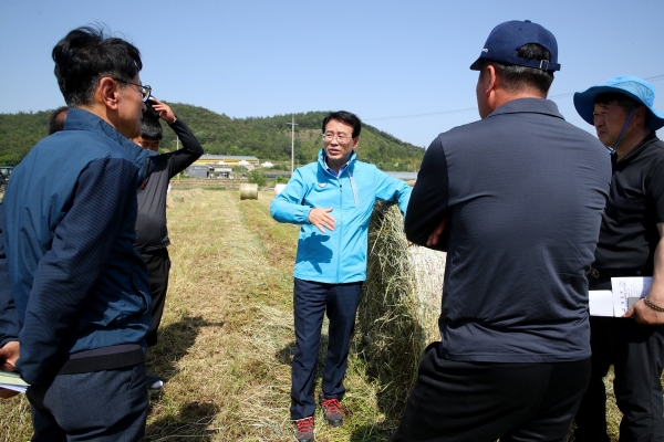 ▲강진원 강진군수가 조사료 수확 현장을 방문하여 작업농가 격려 및 양질 조사료 생산을 당부하고 현장의 목소리를 청취하고 있다.(사진제공=강진군)