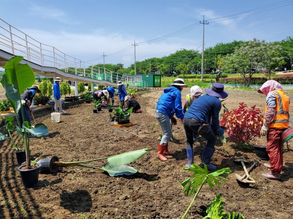 ▲순천시가 지난 17일 농촌진흥청 국립 원예특작과학원과 함께 풍덕경관정원과 문화의 거리에 열대풍 이색정원을 조성했다.(사진제공=순천시)