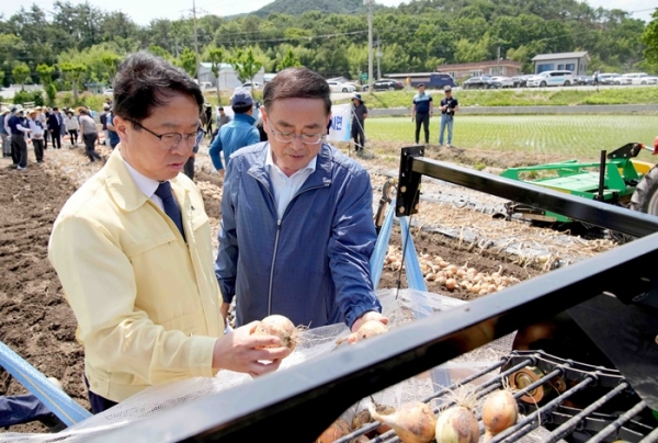 ▲전라남도는 8일 ‘국산양파 품종 평가 및 기계화 재배기술 시연회’를 개최했다.(사진제공=전라남도)