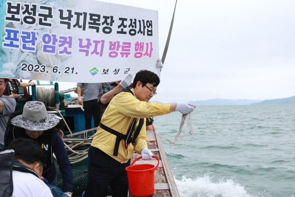 ▲김규웅 부군수가 포란 암컷 낙지 방류 행사에 참여하고 있다.(사진제공=보성군)