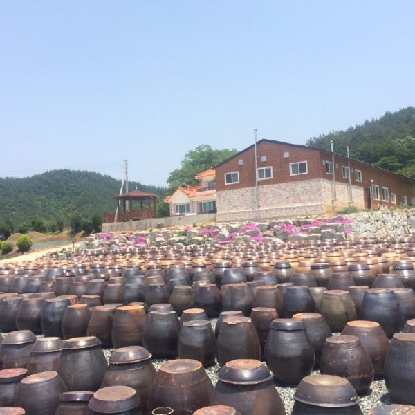 ▲행안부, 모두愛 마을기업에 선정된 ‘강진영농조합법인’의 풍경(사진제공=강진군)