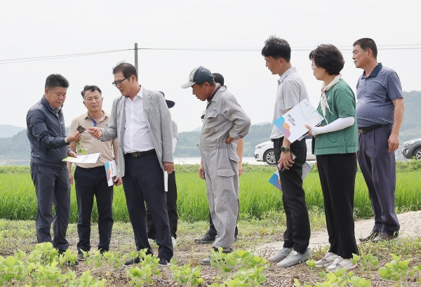 ▲지난 21일 이상익 함평군수 논콩 재배지 현장 점검 실시(사진제공=함평군)