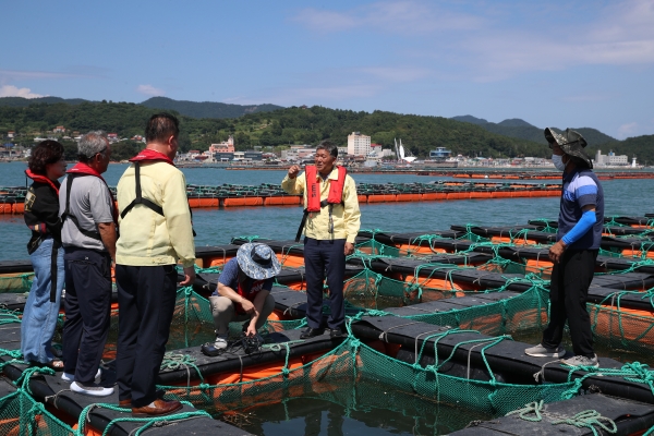 ▲신의준 전남도의회 농수산위원장은 8일 태풍(제6호, 카눈) 북상으로 남해안 냉수대가 소멸함에 따라 고수온 피해가 예상되는 강진 마량해역 전복 양식장을 방문해 고수온 대응 상황을 살피고 어업인의 어려움을 경청했다.(사진제공=전라남도의회)