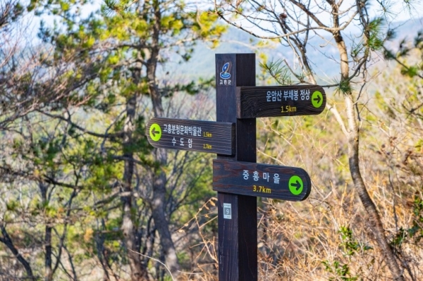 고흥군(군수 공영민)은 오는 9월 3일 고흥 운암산 일대에서 제13회 문화체육관광부장관기 전국생활체육 등산대회를 개최한다