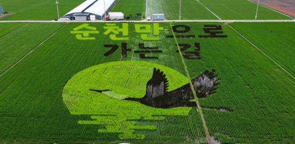▲7월 중 순천만으로 가는길 뜰아트 모습(사진제공=순천시)