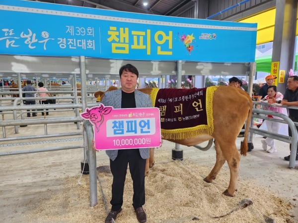 ▲제39회 전라남도 으뜸한우 경진대회에서 성전면 박경훈 농가에서 출품한 한우가 종합챔피언상을 수상했다.(사진제공=강진군)