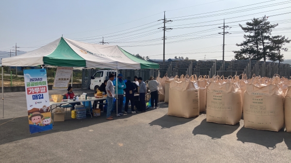 ▲해남군은 지난 10월 31일부터 오는 11월 9일까지 2023년산 공공비축미곡 가루쌀 매입을 실시한다.(사진제공=해남군)