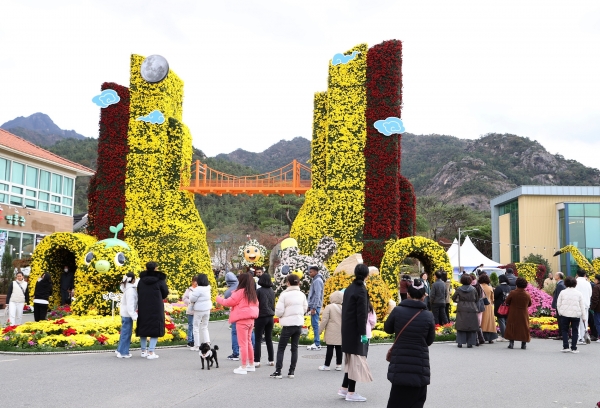 ▲월출산 국화축제(사진제공=영암군)